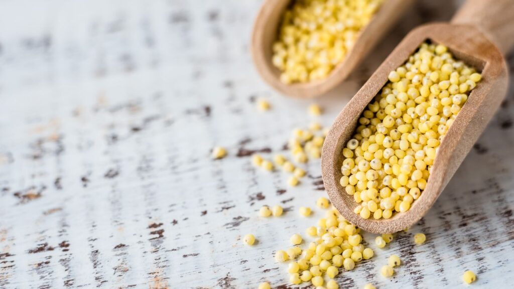 Linia do produkcji kaszy jaglanej – efektywność i jakość na najwyższym poziomie